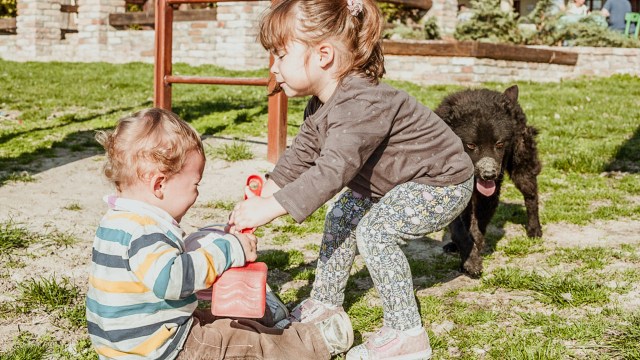 siblings fighting at the playground with parents out of frame wondering how to stop toddler from hitting