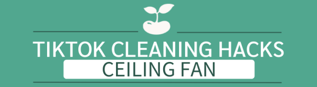 tiktok cleaning hacks toilets ceiling fan