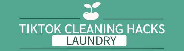 tiktok cleaning hacks toilets laundry