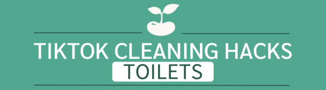 tiktok cleaning hacks toilets