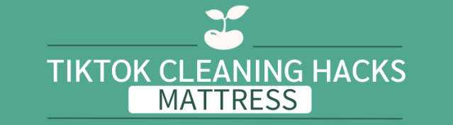 tiktok cleaning hacks toilets